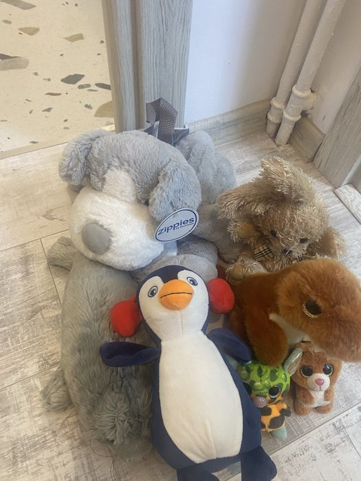 OFERTA plusuri ca noi