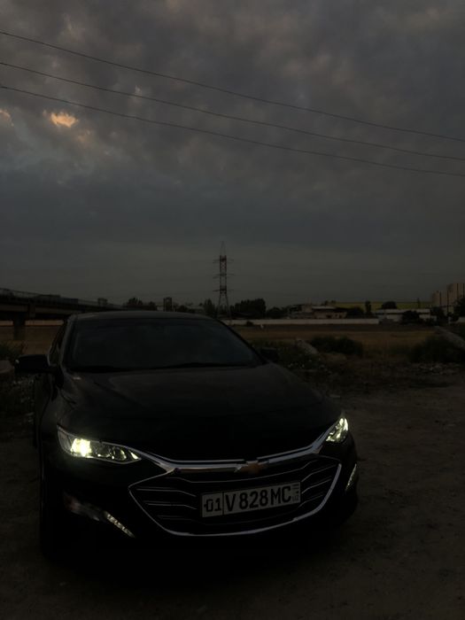 Malibu 2 premier