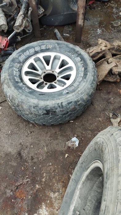Деликан джиптерге дика