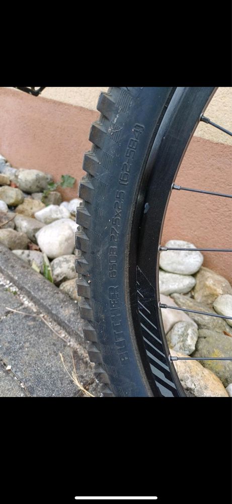 Specialized Demo 8 XL
