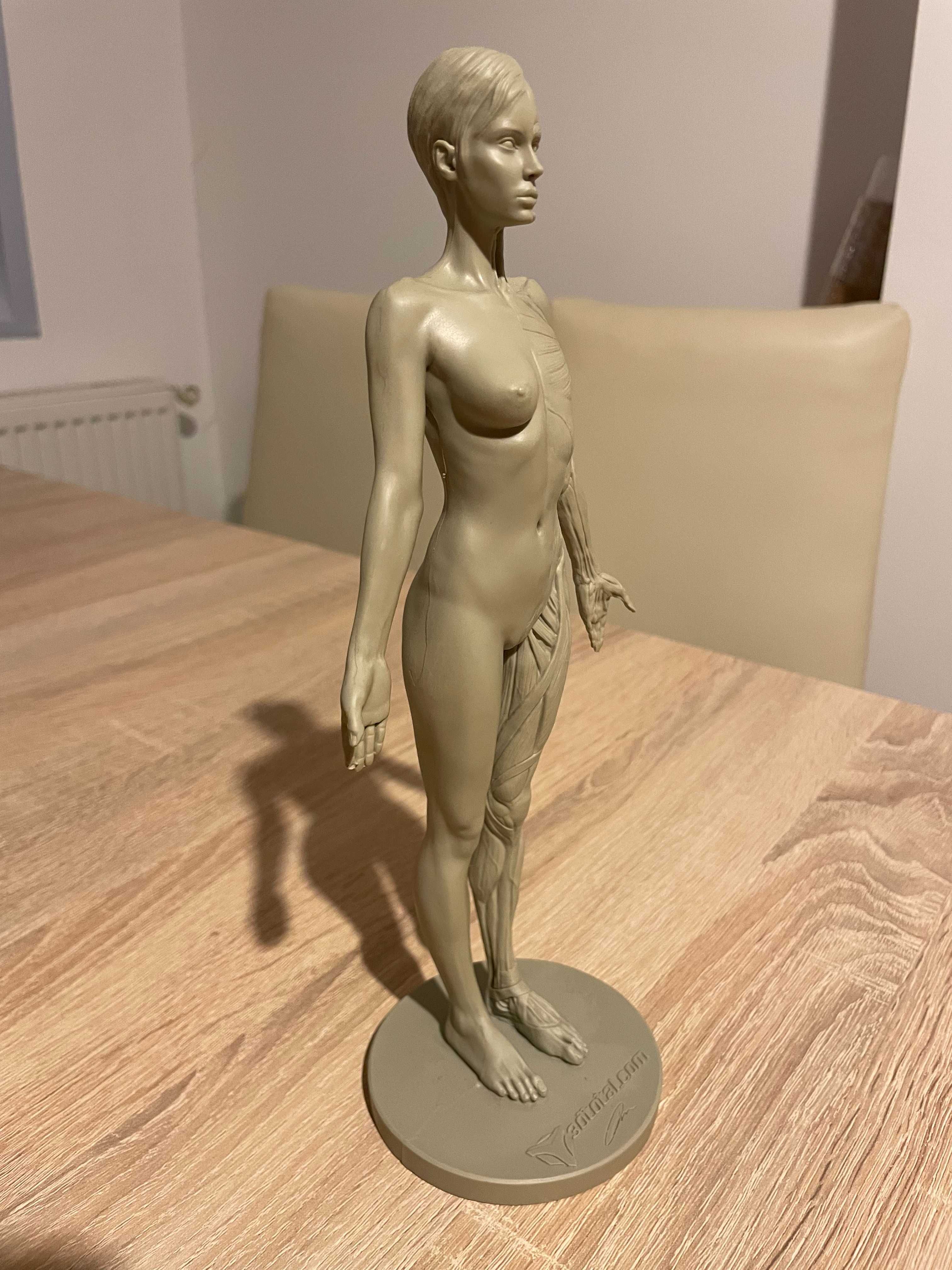 3dtotal Anatomy: female figure