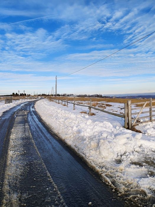 Teren cabana Marisel la 1 km ski resort, 30€ mp.Zonă  panoramica!