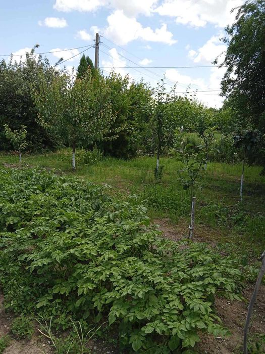 Продава се Къща в Стара Загора, Център - 180 кв.м за 198 €/кв.м - Снимка #5