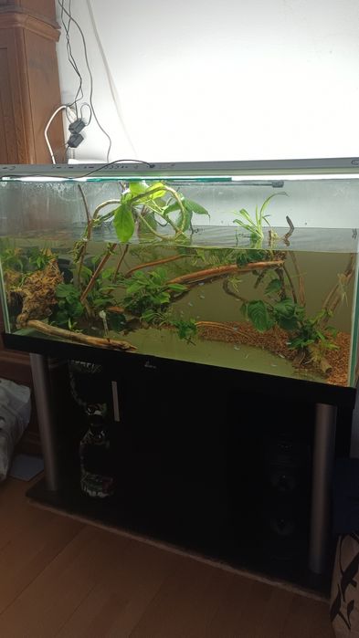 Schimb Acvariu sticla 10 120*50*55h