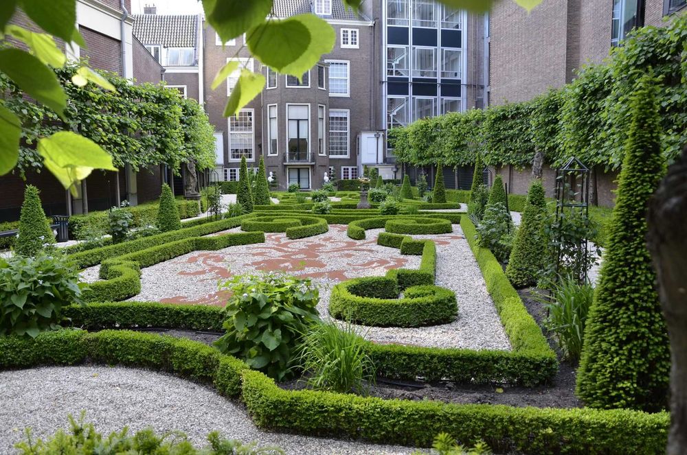 Озеленение в Ташкенте- Озеленение территорий