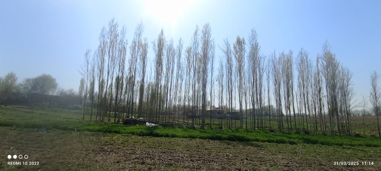 Quruq yer sotiladi