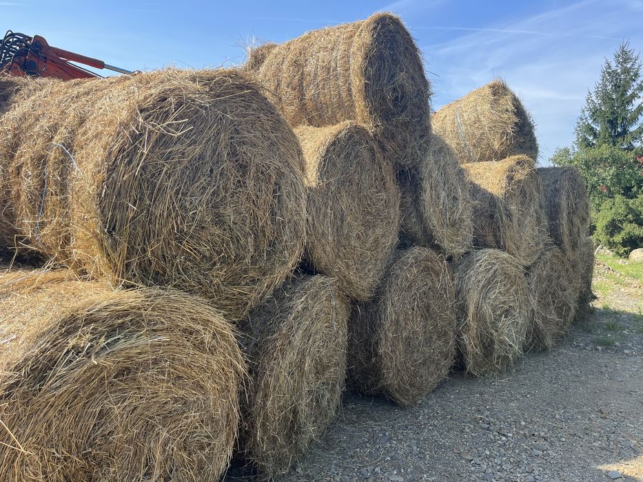 Baloti de fan 120x120