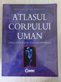 Atlasul Corpului Uman