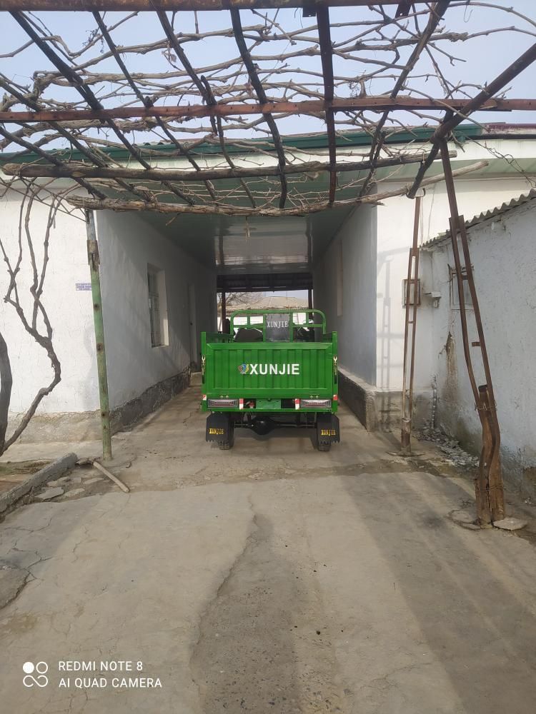Xunjie  250 kup motor 2 tonnalik