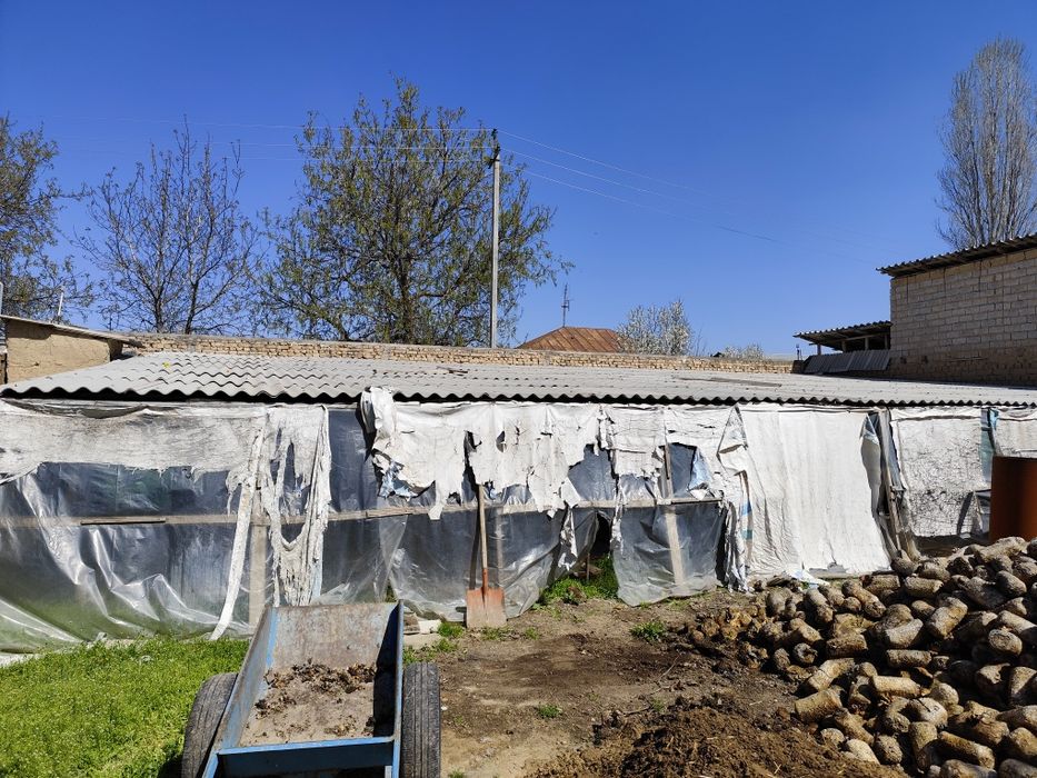 Профнастил, шифер, тахта, тўсин, черныйга тахта, металл сотилади.