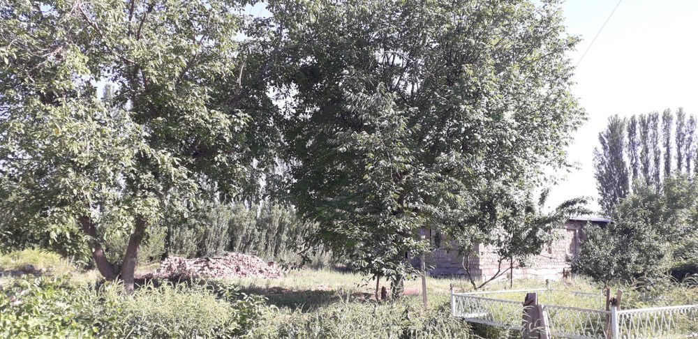 Продам землю 20соток массив Югнаки Ттз кадастр