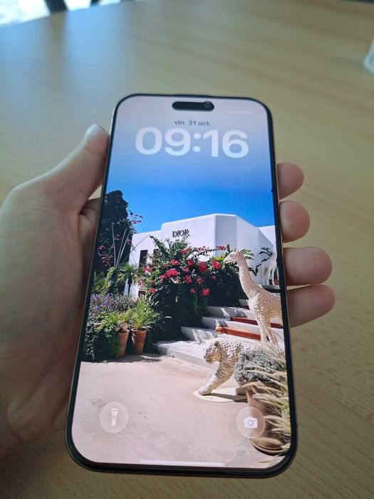 iPhone 16 Pro Max – Ca nou – 256 GB