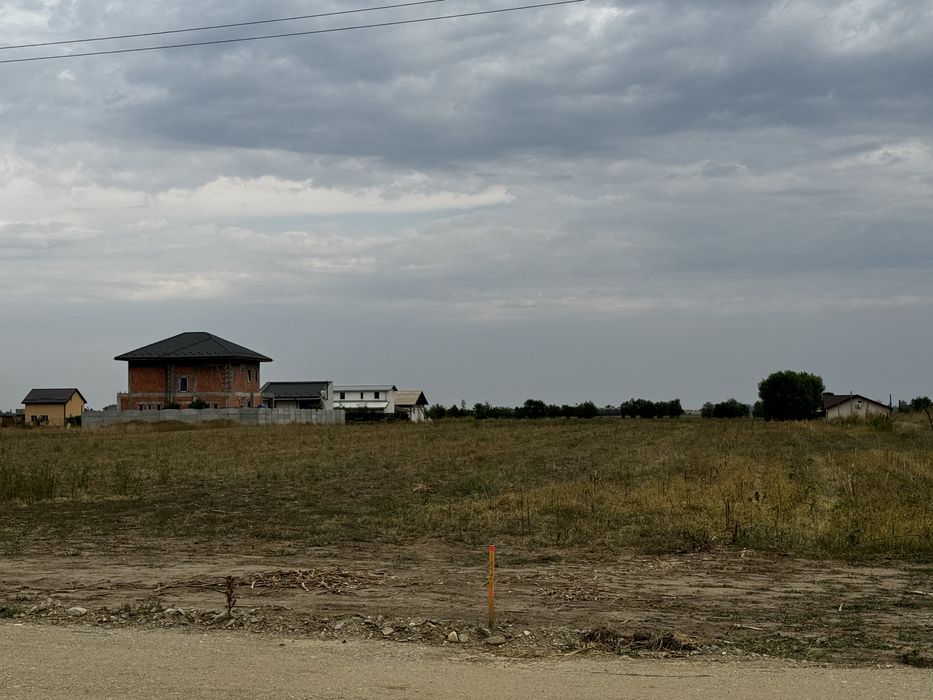 Teren Domnesti , Teghes 19.000mp desc 45m direct la drumul asfaltat !!