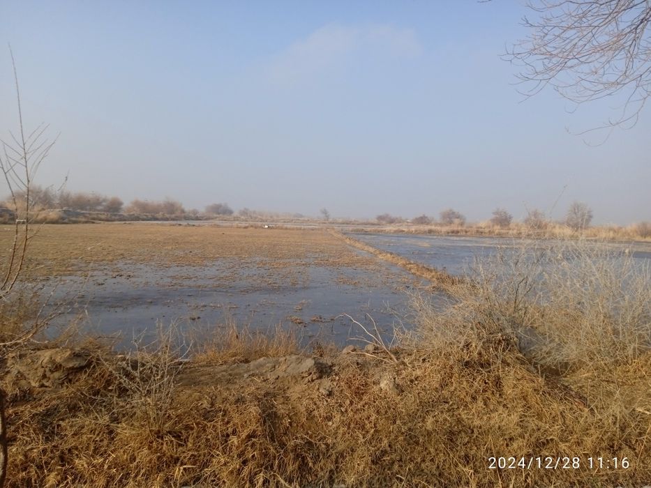 Хамма хужжатлари таййор бизнес