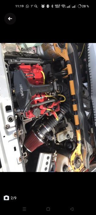 Таза кан айгыр сатылады