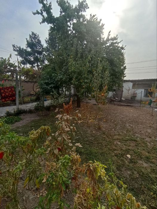 Продается участок с домом в поселке Иик-Ота