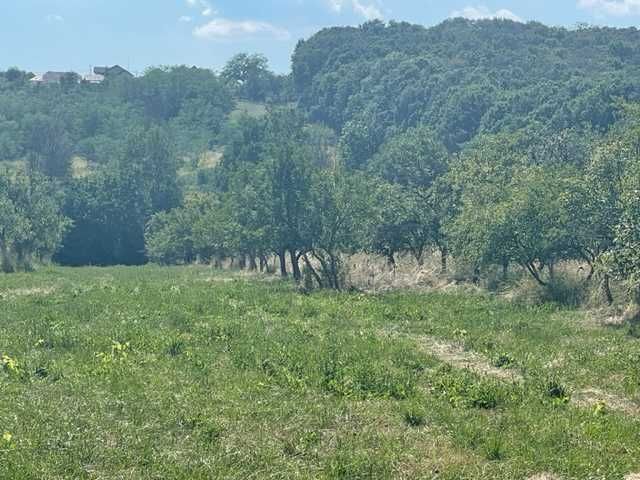 Teren de vanzare in Hintesti plus casa