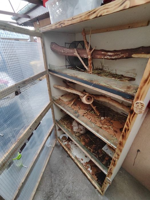 Cușcă mare 4 etaje + iepuri + chinchile – tot pachetul