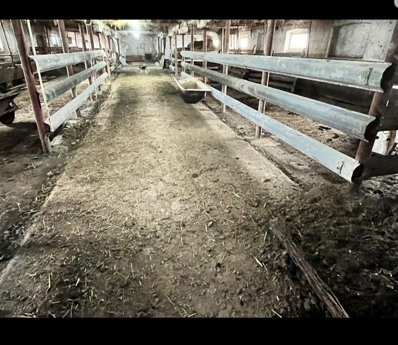 De vânzare grajd in Șiria.