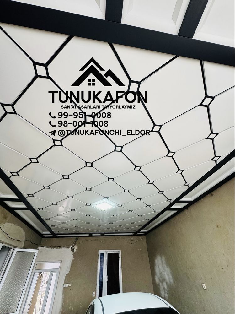 Tunukafonchi usta N1
