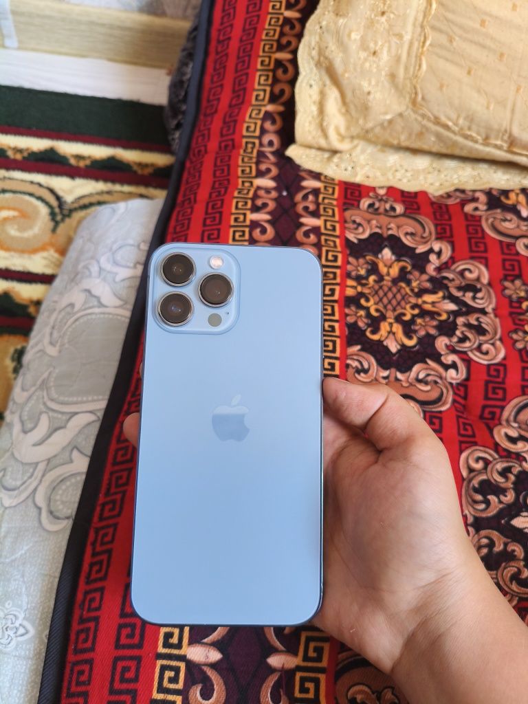 Iphone 13 pro max гарантия на 3 месяца