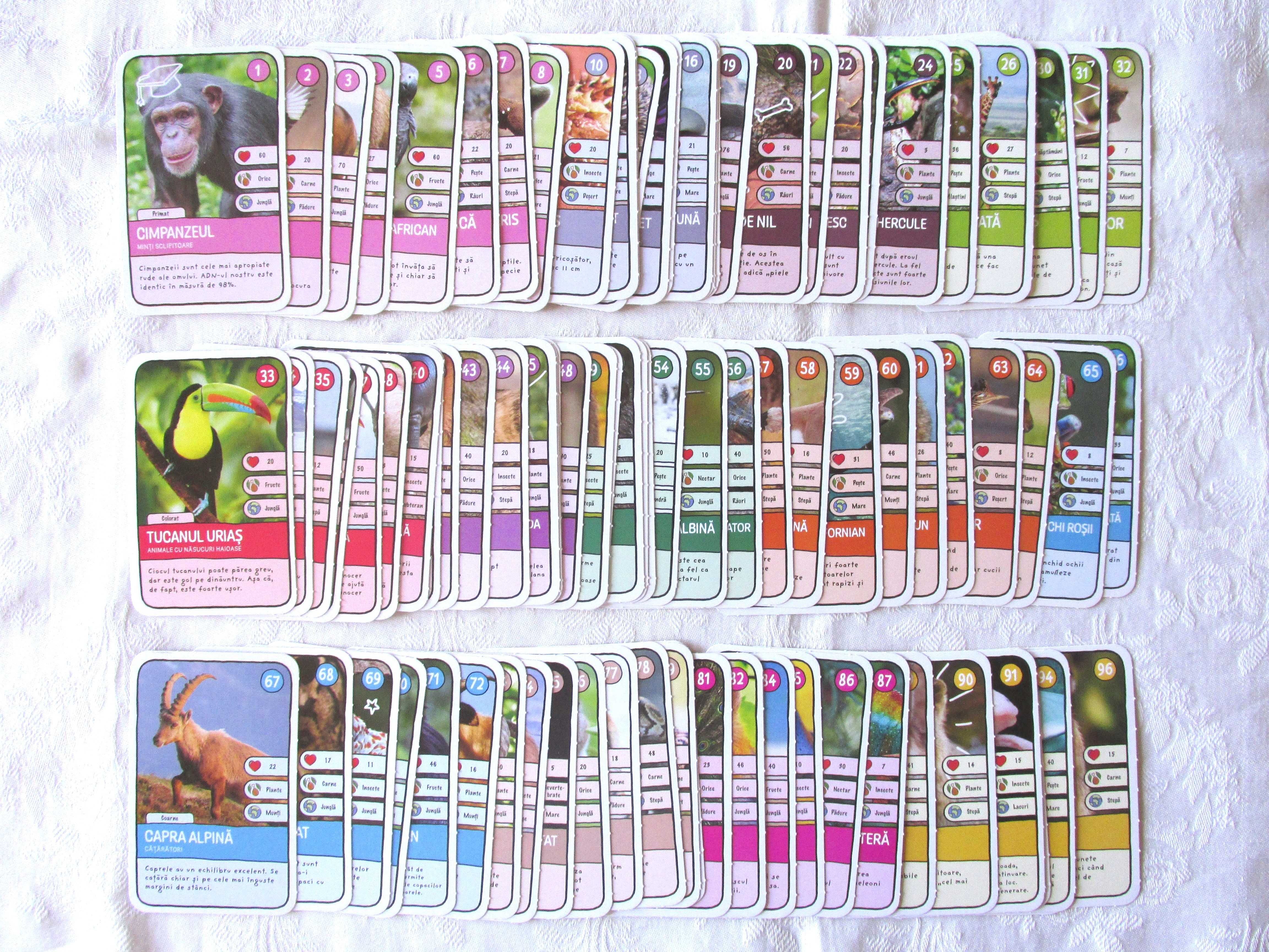 Joc Expeditie in jurul lumii 2 - Catalog +96 cartonase +boxa+cutiuta
