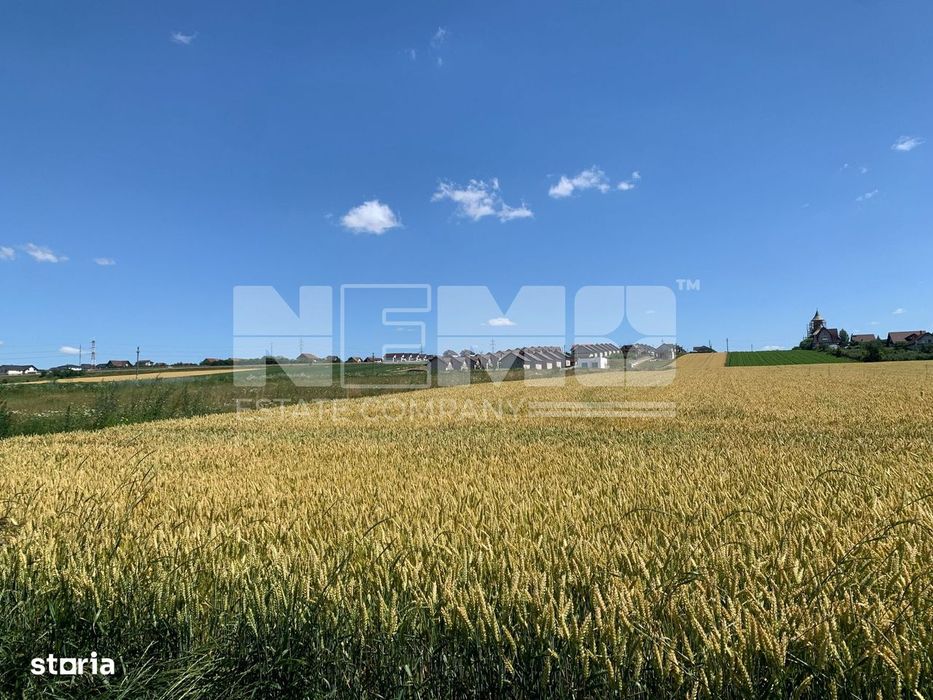 Teren Intravilan – Sf. Ilie| Suceava | 3.500 €/Ar