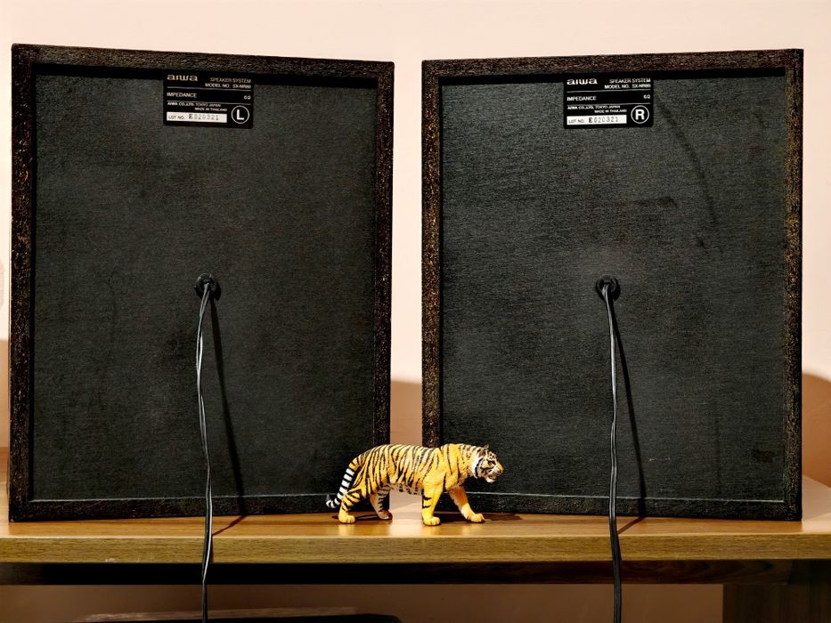 Aiwa SX-NR60. Boxe raft puternice, bass năucitor. Preț fix !