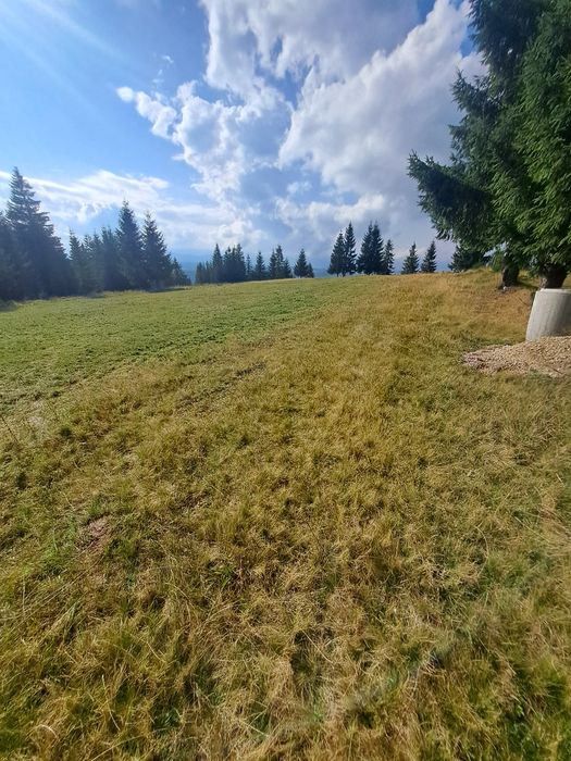 Vând teren la Marisel