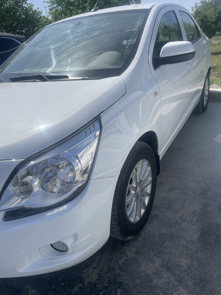 2019 aftamat radnoy