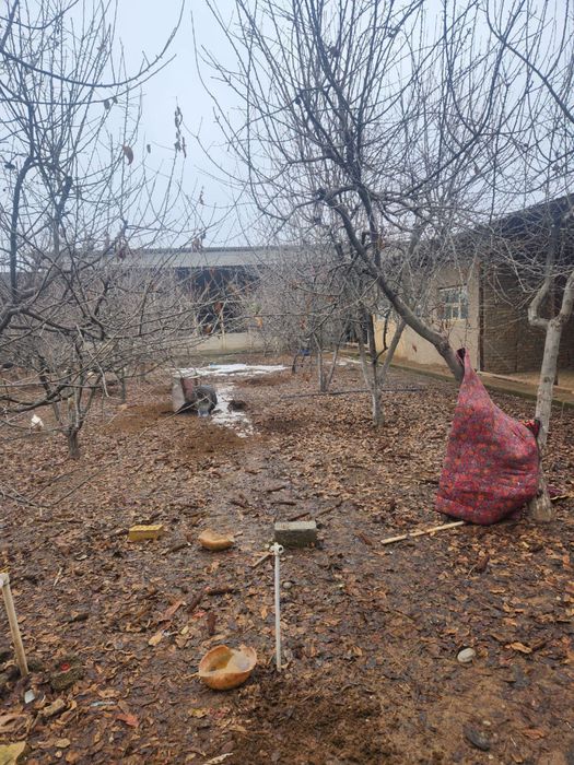 Продаеться свой дачный дом