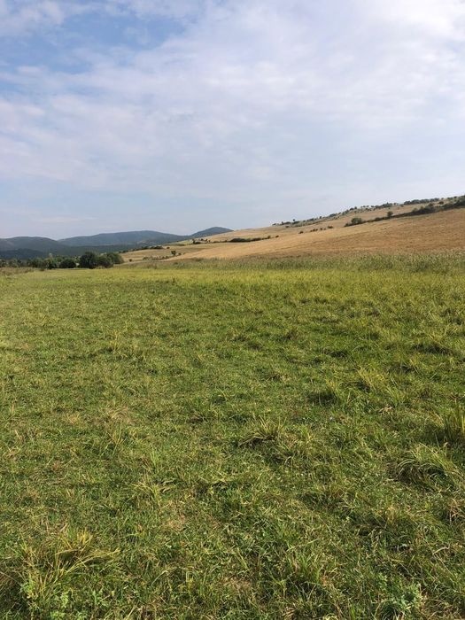 Teren de vanzare iara