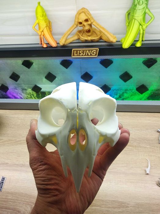 Череп Кондора 3D модель