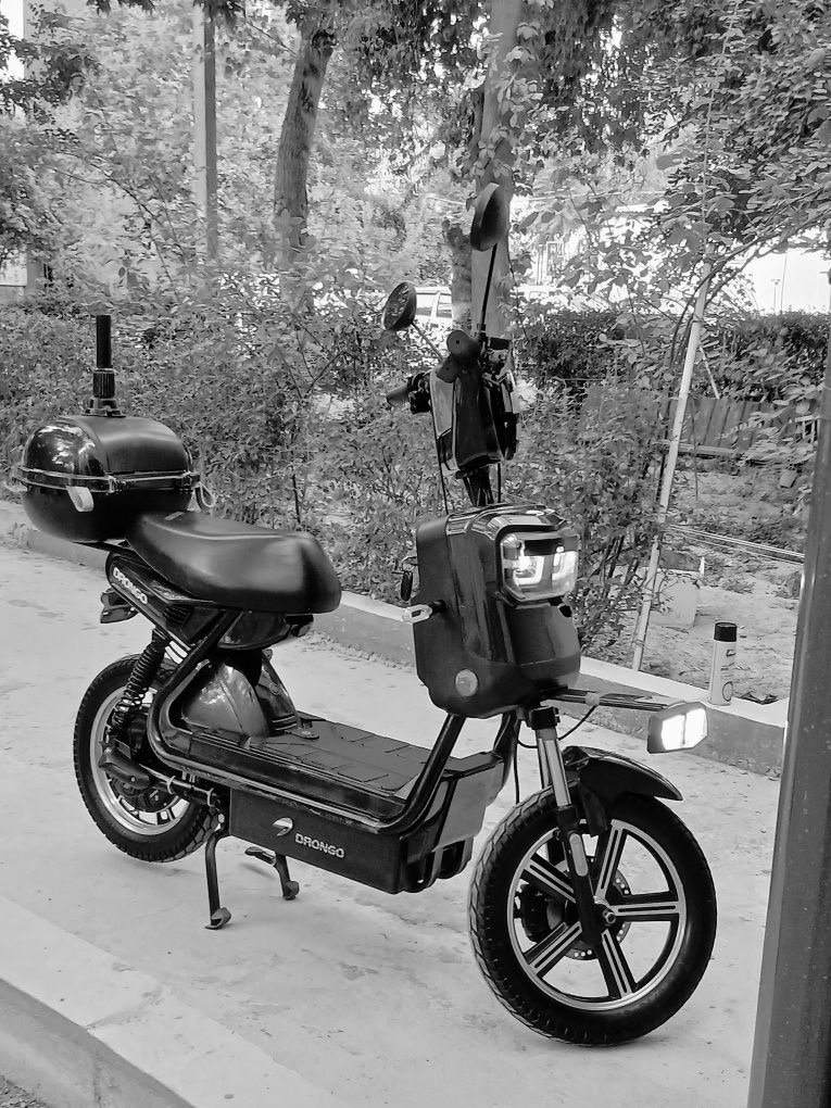 Skuter drongo 16/5
