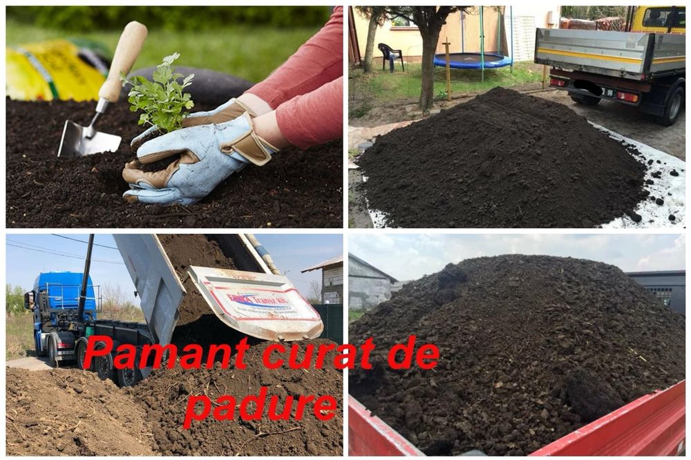 Pamant negru ( vegetal ) Nisip Pietris Piatra Balastru Amestec beton