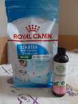 Mancare pentru catel