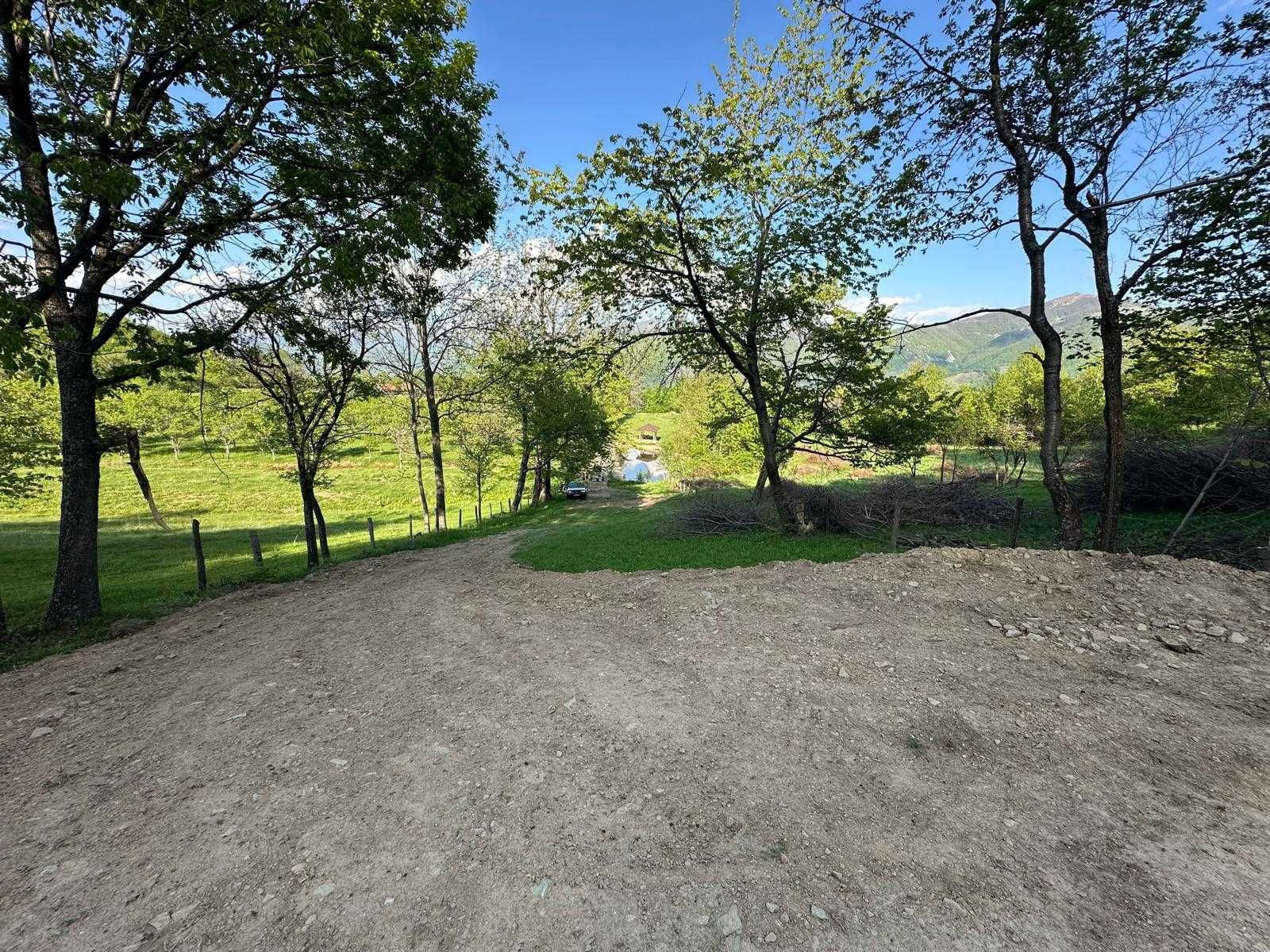 Teren la munte cu lac 6500 mp