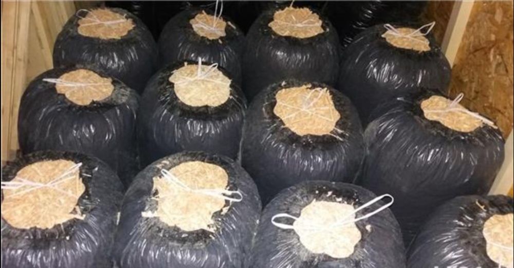 Rumeguș pentru animale