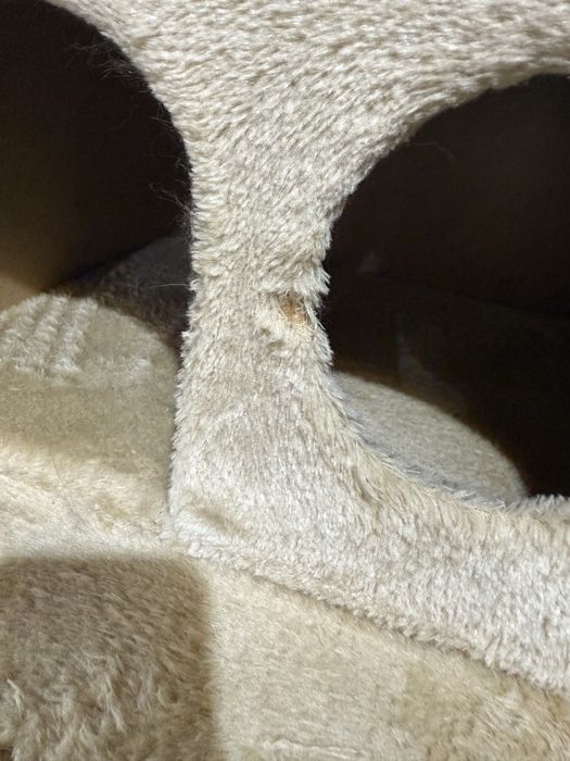 Vand ansamblu pisici dimensiune mare