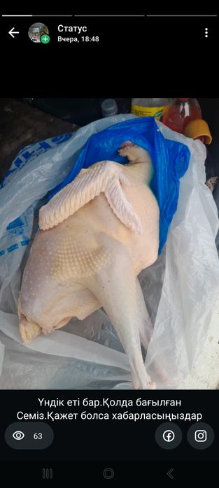 Үндік балғын еті