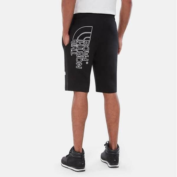 Мъжки спортни панталони The north face