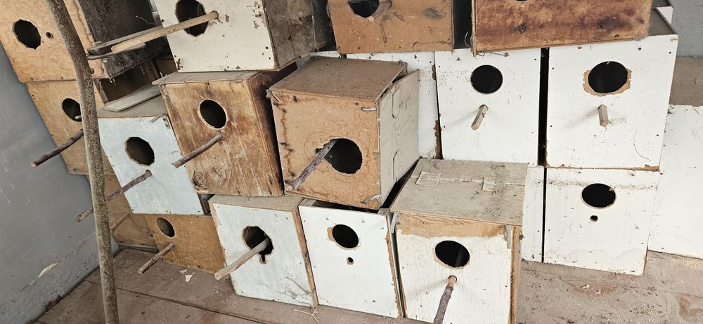 Дуплянки разные.