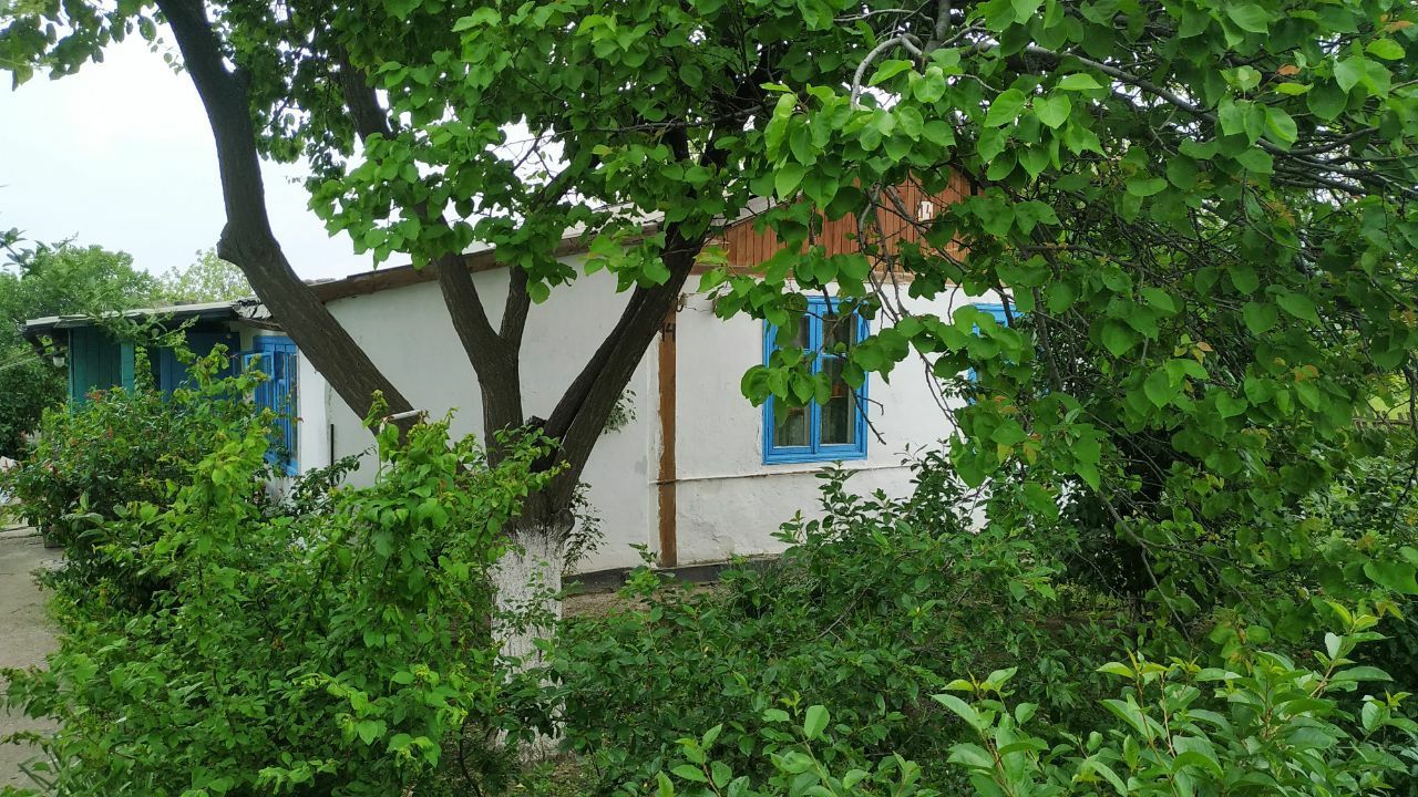 Продается дом ( Ховли уй, hovli uy ) в поселке " Геолог"