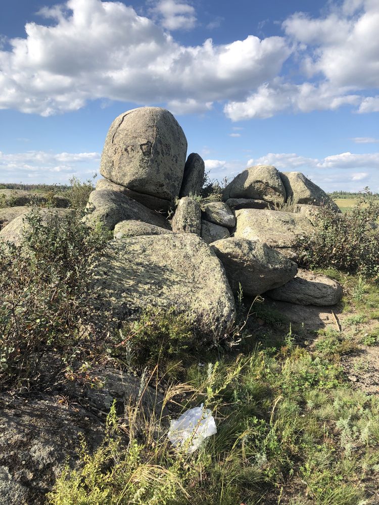 Сдается домик в лесу вблизи Борового