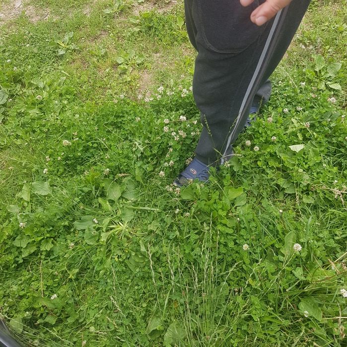 Голф 4 1.6 на части