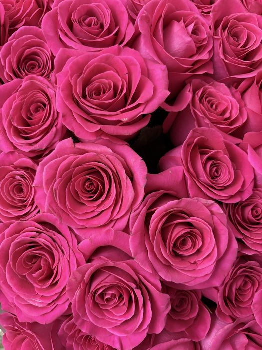 Продам цветы свежие,вчера покупали