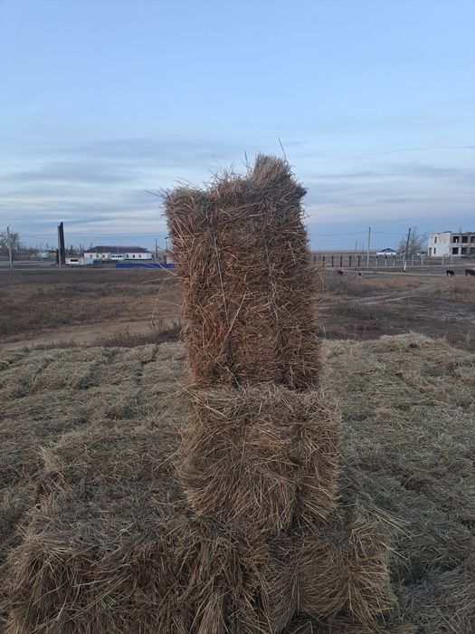 Сено для декорации