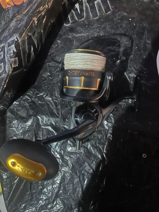 Mukineta Black cat cat extreme 85fd