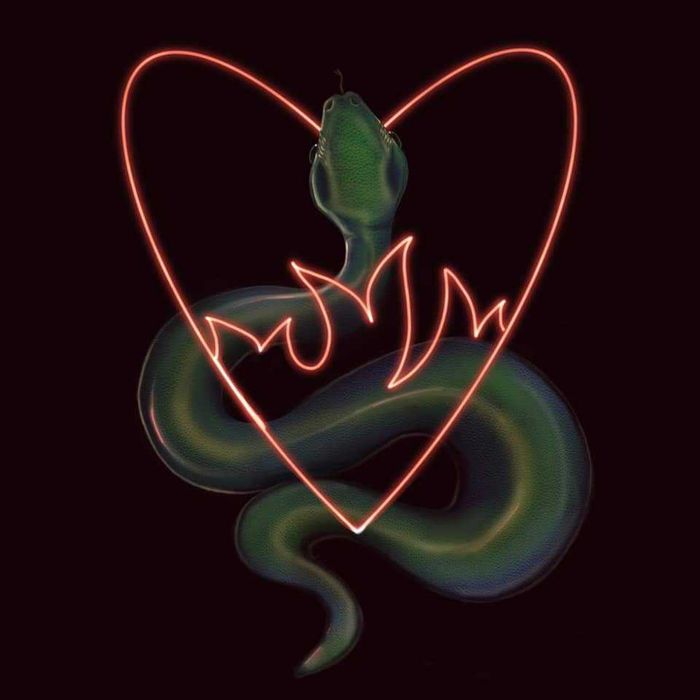 tablouri și ilustrații digitale la comandă