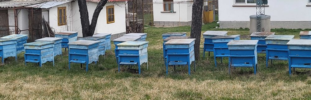 Сини кошери за пчели